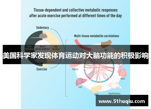 美国科学家发现体育运动对大脑功能的积极影响